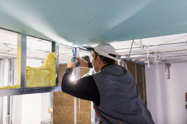 Best Spray Foam Insulation  in Caseyvle, IL