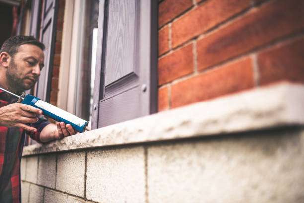 Best Insulation Contractors for Homes  in Caseyvle, IL
