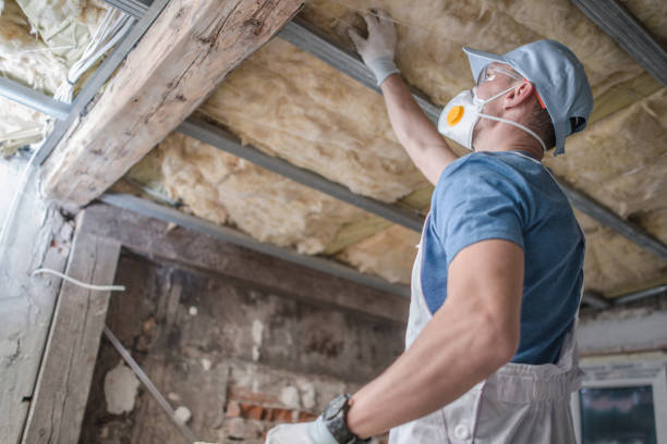 Best Affordable Insulation Services  in Caseyvle, IL