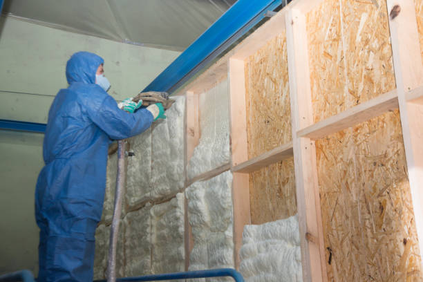 Best Attic Insulation Near Me  in Caseyvle, IL
